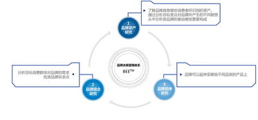 品牌管理決策支持體系的構建與優(yōu)化